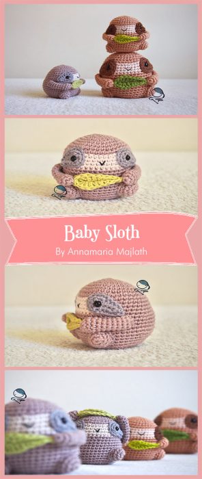 Baby Sloth By Annamaria Majlath