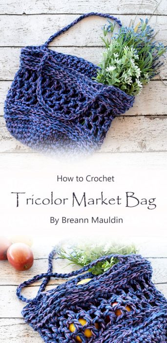 Tricolor Market Bag By Breann Mauldin