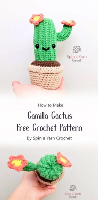 Camilla Cactus Free Crochet Pattern By Spin a Yarn Crochet