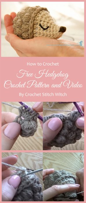 Free Hedgehog crochet pattern and video By Crochet Stitch Witch