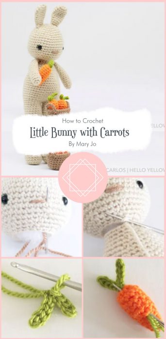 Little Bunny with Carrots By Mary Jo