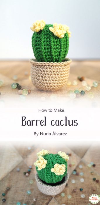 Barrel cactus By Nuria Álvarez