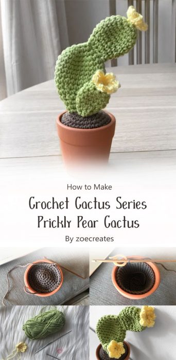 6 Amigurumi Cactus Free Crochet Ideas - Carolinamontoni.com