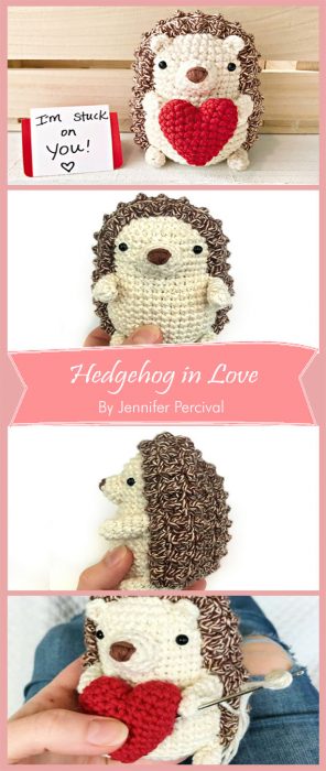 Hedgehog in Love By Jennifer Percival