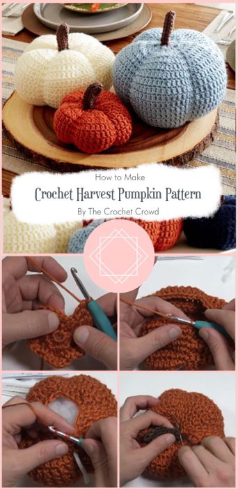 Crochet Harvest Pumpkin Pattern By The Crochet Crowd