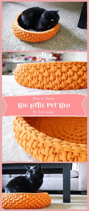 Big Little Pet Bed By Toni Lipsey