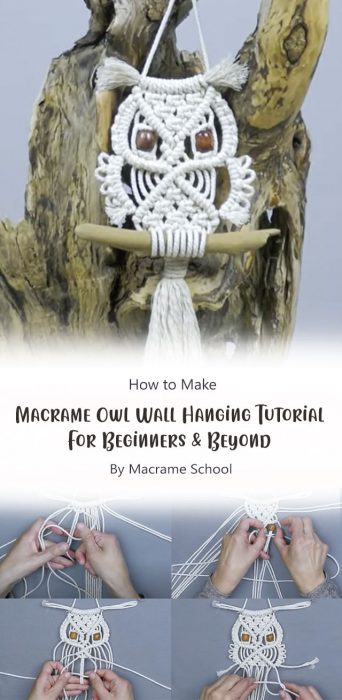 Macrame Owl Wall Hanging Tutorial For Beginners & Beyond By Macrame School