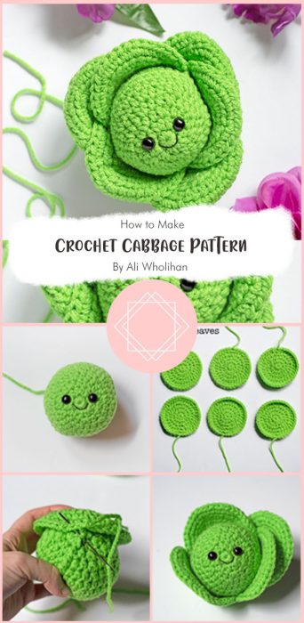 Crochet Cabbage Pattern By Ali Wholihan