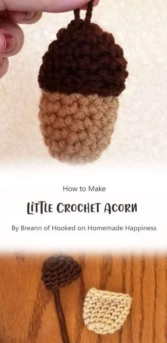 Little Crochet Acorn By Breann of Hooked on Homemade Happiness