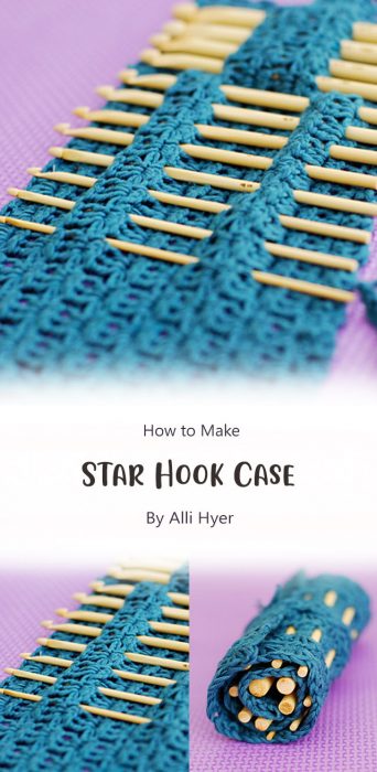 Star Hook Case By Alli Hyer