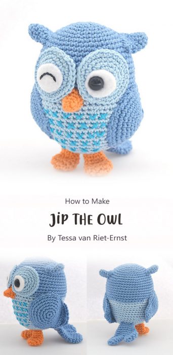 Jip the Owl By Tessa van Riet-Ernst
