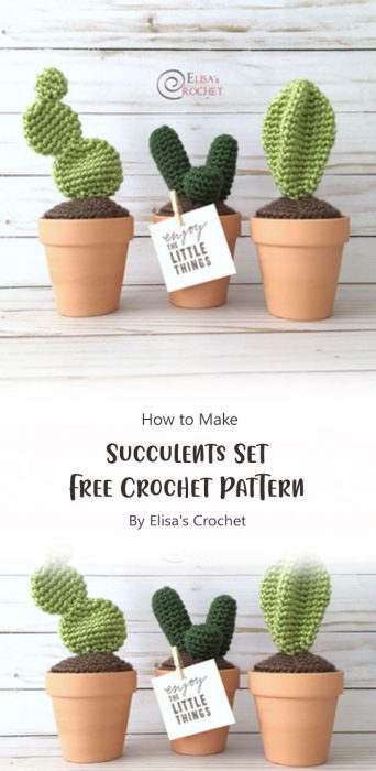 Succulents Set Free Crochet Pattern By Elisa's Crochet