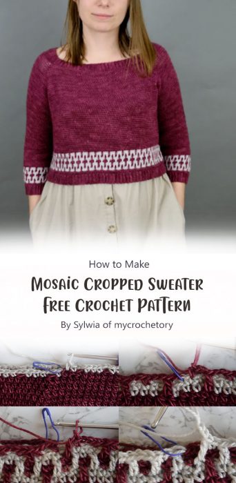 Mosaic Cropped Sweater – Free Crochet Pattern By Sylwia of mycrochetory