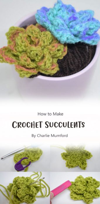 How to Crochet Succulents By Charlie Mumford