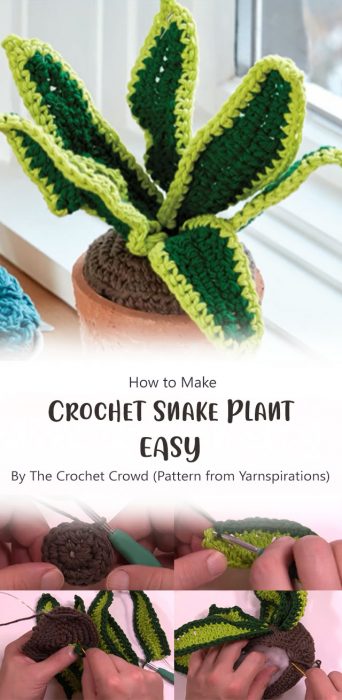 Crochet Snake Plant - EASY By The Crochet Crowd (Pattern from Yarnspirations)