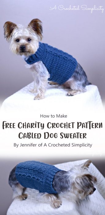 Free Charity Crochet Pattern: Cabled Dog Sweater By Jennifer of A Crocheted Simplicity