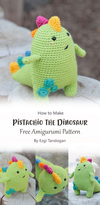 Pistachio the Dinosaur By Ezgi Tandogan