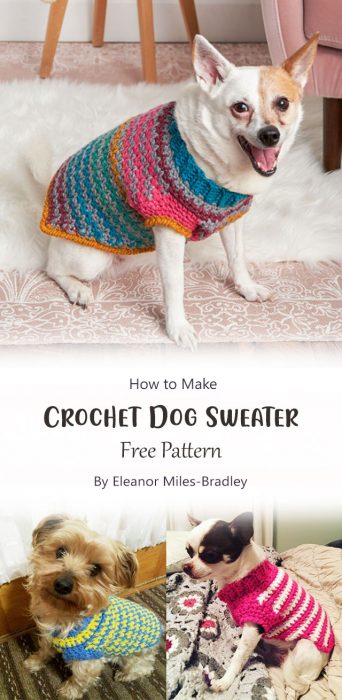 Crochet Dog Sweater By Eleanor Miles-Bradley