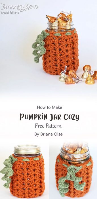 Pumpkin Jar Cozy By Briana Olse