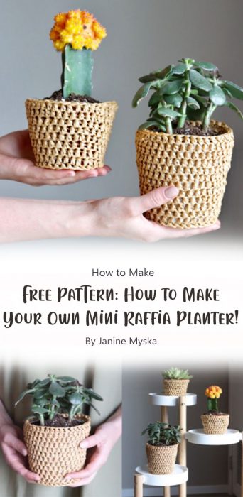 Free Pattern: How to Make Your Own Mini Raffia Planter! By Janine Myska