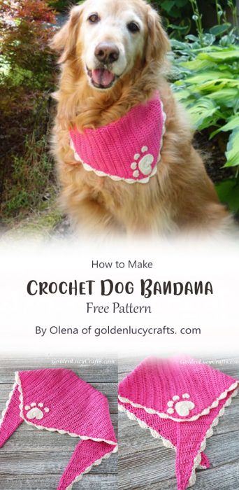 Crochet Dog Bandana By Olena of goldenlucycrafts. com