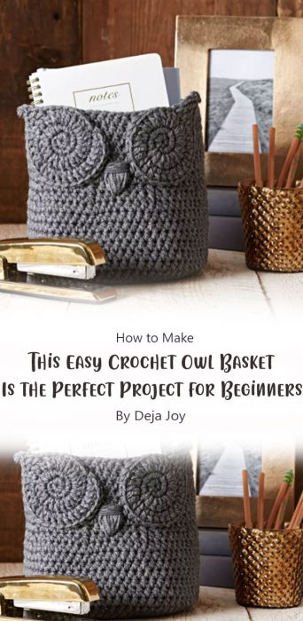 This Easy Crochet Owl Basket Is the Perfect Project for Beginners By Deja Joy
