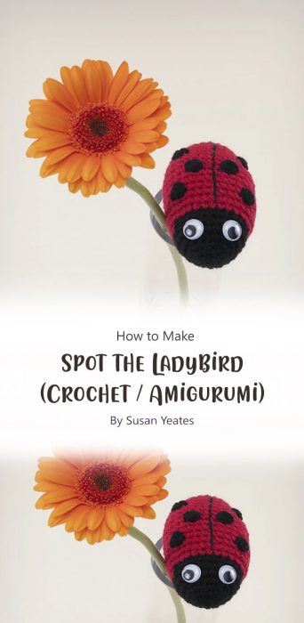 Spot the Ladybird (Crochet / Amigurumi) By Susan Yeates