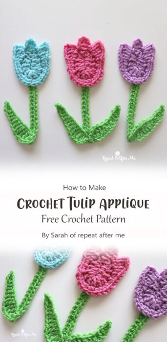 Pretty Tulip Applique Free Crochet Pattern Ideas - Carolinamontoni.com