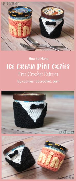 Ice Cream Pint Cozies By cookiesnobcrochet. com
